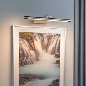Paulmann Mingo LED-Bilderleuchte 41,5 cm alu geb. günstig