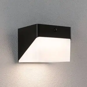 Paulmann Hybrid LED Außenwandleuchte Lioren