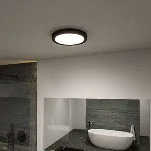 Paulmann Tega LED-Deckenleuchte IP44 CCT schwarz günstig