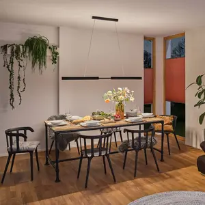 Paulmann LED-Hängelampe Aptare, schwarz, 2700K, smart, dim. günstig