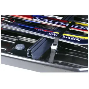 Thule Excellence Xt/dynamic L/motion Xt Xl-xxl/motion Xt Alpine Skihal... günstig