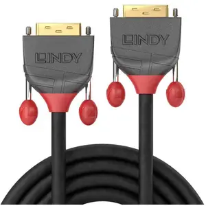 Lindy Sigle Link Dvi-kabel günstig