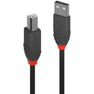 Lindy Usb Zu B Kabel 2 M