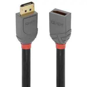 Lindy 901751417 1 M Displayport-kabel