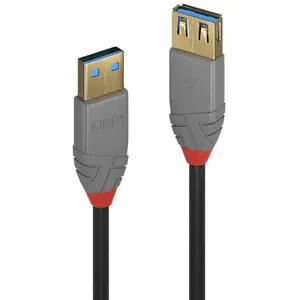 Lindy Usb 3.1 Kabel 3 M