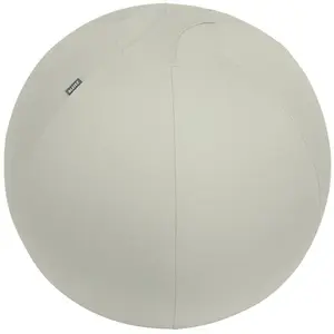 Leitz Active Anti-rutsch-sitzball 65 Cm günstig