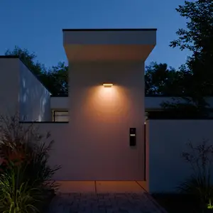 STEINEL LED-Sensor-Außenwandleuchte L 800 SC, anthrazit IP44