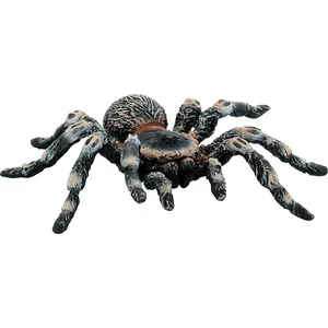 BULLYLAND Weißknie Vogelspinne, 3 Jahr(e), Schwarz, 1 Stück(e) günstig