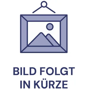 Einhell Akku-Kehrmaschine TE-SW 18/610 Li-Solo (2352040) günstig