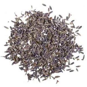 Rayher, Naturmaterialien, Lavendel Blüten 5g günstig