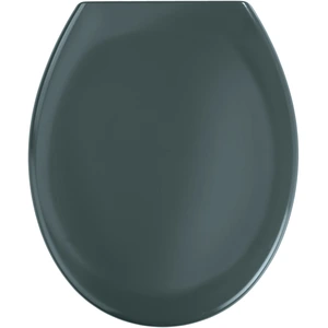 WENKO Premium WC SITZ OTTANA Klo Brillen Toiletten Deckel Absenkautomatik Grau günstig