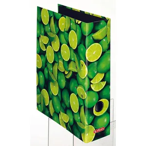 herlitz Motivordner Rückenbreite 8 cm DIN A4 Karton Motiv günstig