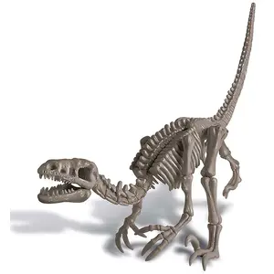 4m Grabe Ein Velociraptor-skelett Dinosaurier-kit Aus