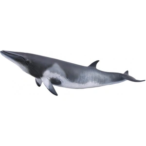Collecta Zwergwal Minke Xl Figur Grau 3-6 Years Grau 3-6 Years