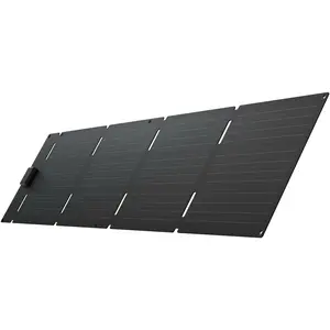 EcoFlow, Solarpanel, Solarpanel (60 W, 2 kg)