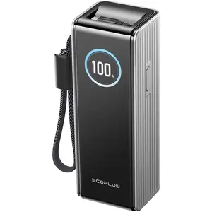 EcoFlow EF-RAPID25K100W-S-EU, 25000 mAh, 170 W, Schwarz, Silber