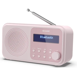 Sharp DR-P420 Radio (Digitalradio (DAB), FM-Tuner mit RDS, 2 W)