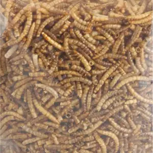 Flamingo Picknic Mealworms Vogelfutter 540g günstig