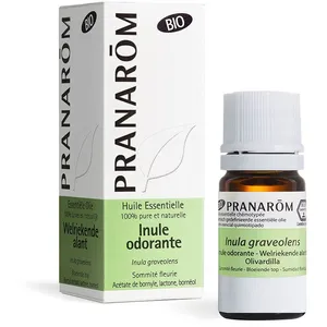 PRANAROM Ätherisches Alant Öl 5 ml günstig