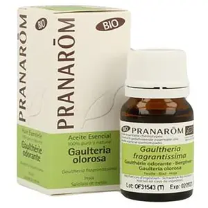 Pranarom Gaulteria 10ml Ätherisches Öl One Size günstig