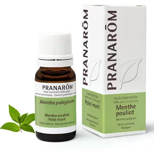 PRANAROM Ätherisches Öl Menta pulegium 10 ml günstig
