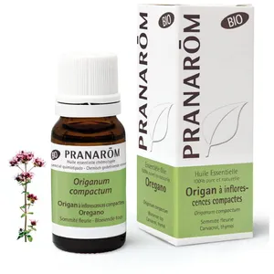 Pranarom Oregano Bio Huile Essentielle 10 ml günstig