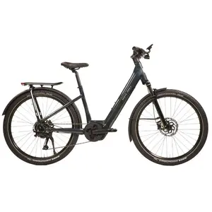 Urban Jungle Barrio 3.0 Performance Elektrofahrrad M günstig