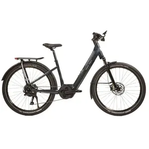 Urban Jungle Barrio 3.0 Performance Elektrofahrrad L günstig
