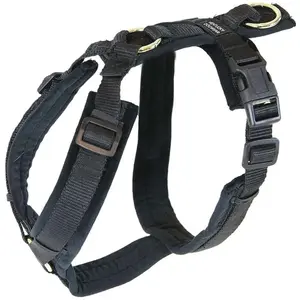 Kentucky Active Velvet Hundegeschirr 22-36 cm günstig