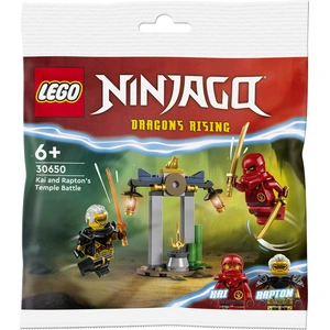LEGO 30650 NINJAGO Kais und Raptons Duell im Tempel