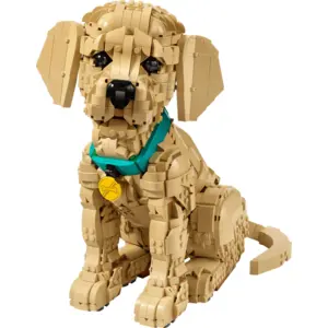 LEGO 11384 Icons Golden Retriever Welpe, Konstruktionsspielzeug