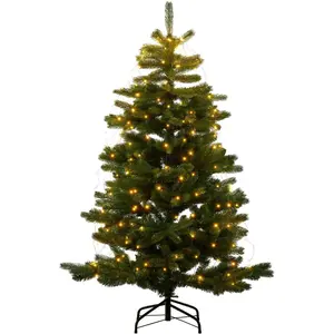 Sirius, Weihnachtsbaum, Anton (210 cm)