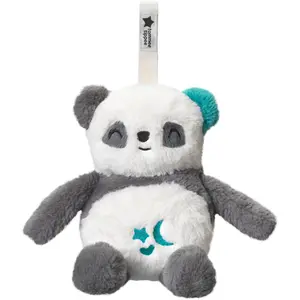 Tommee Tippee Pip Panda Teddybär