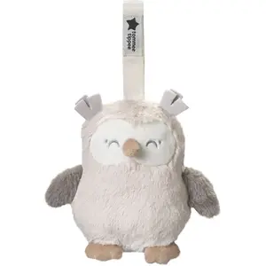 Tommee Tippee Ollie Buho Teddybär