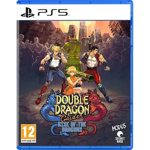 Playstation Games Ps5 Double Dragon Gaiden Rise Of The Dragons