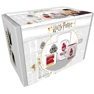 Harry Potter Geschenkbox Quidditch günstig