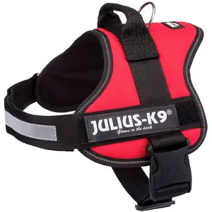 Julius K-9 Power Hundegeschirr XL-2 günstig