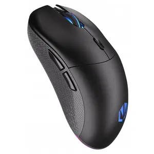 ENDORFY GEM Plus Wireless, Beidhändig, Optisch, RF Wireless + USB Type...