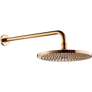 Omnires WGSET1GL Duschkopf mit 25 cm langem Arm, goldfarben günstig