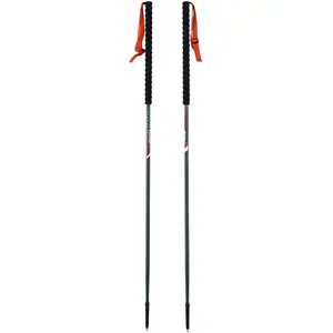 Skitourenstock Viking Mission (x2) Grau 130 cm günstig