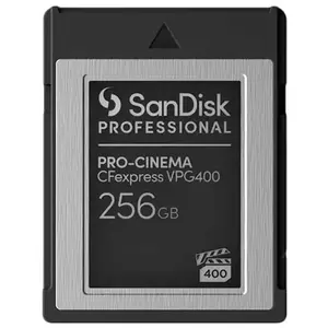 Sandisk Cfexpress Tipo B 256gb Speicherkarte günstig