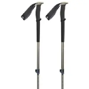 Trail-Stock Black Diamond Trekking Grau TU günstig
