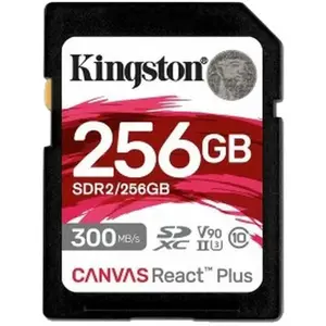 Kingston Sdr2/256gb 256gb Speicherkarte