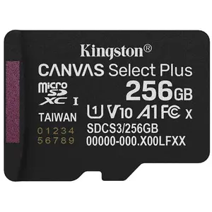 Kingston Microsd Csp G3 150r 256gb Sd-karte