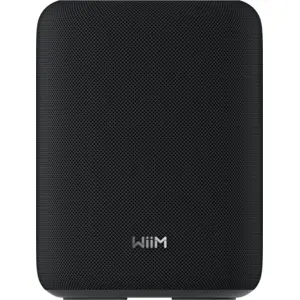 WiiM Sound Lite Schwarz günstig