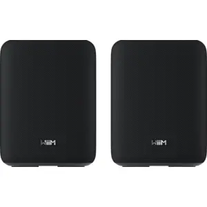 WiiM Sound Lite Twin Schwarz günstig