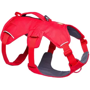 Ruffwear Web Master Hundegeschirr L-XL günstig