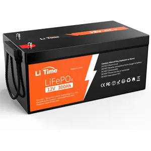 LiTime 12V 300Ah LiFePO4 Batterie mit BMS Solarstromspeicher für Wohnm...