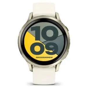 Garmin Venu 4 41mm beige/lunargold (010-03013-00)