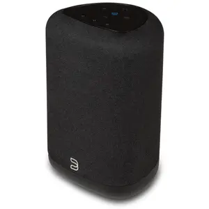 Bluesound Pulse Flex P130 Schwarz WLAN Lautsprecher